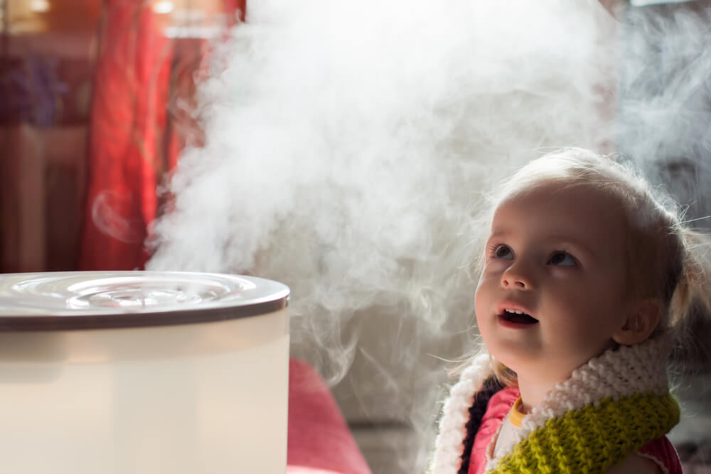 Other Ways To Humidify Your Home Without Using A Humidifier