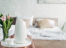 Is It Ok To Run An Air Purifier All The Time?